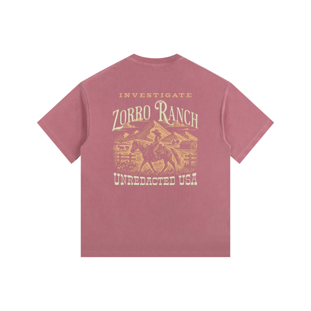 Investigate Zorro T-Shirt